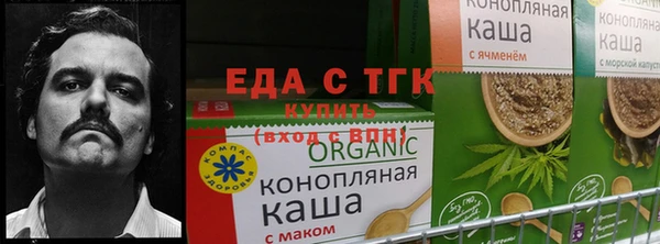 прущие крисы Инта