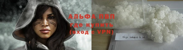 не бодяженный Иннополис