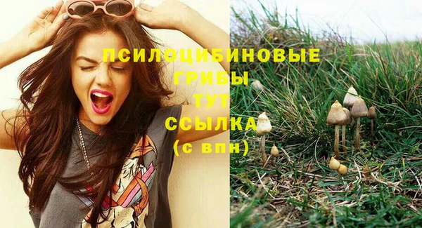 прущие крисы Инта
