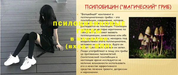 не бодяженный Иннополис
